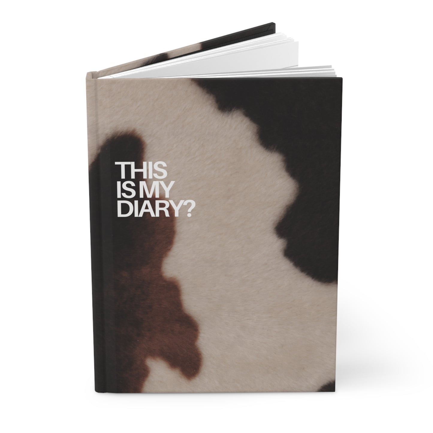 This Is My Diary?